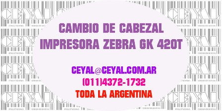 CAMBIO DE CABEZAL IMPRESORA ZEBRA GK 420T CEYAL ARGENTINA