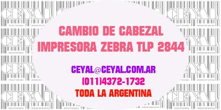 CAMBIO DE CABEZAL IMPRESORA ZEBRA TLP 2844 CEYAL ARGENTINA
