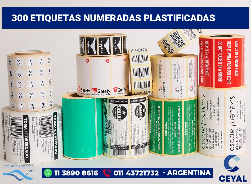 300 Etiquetas numeradas plastificadas