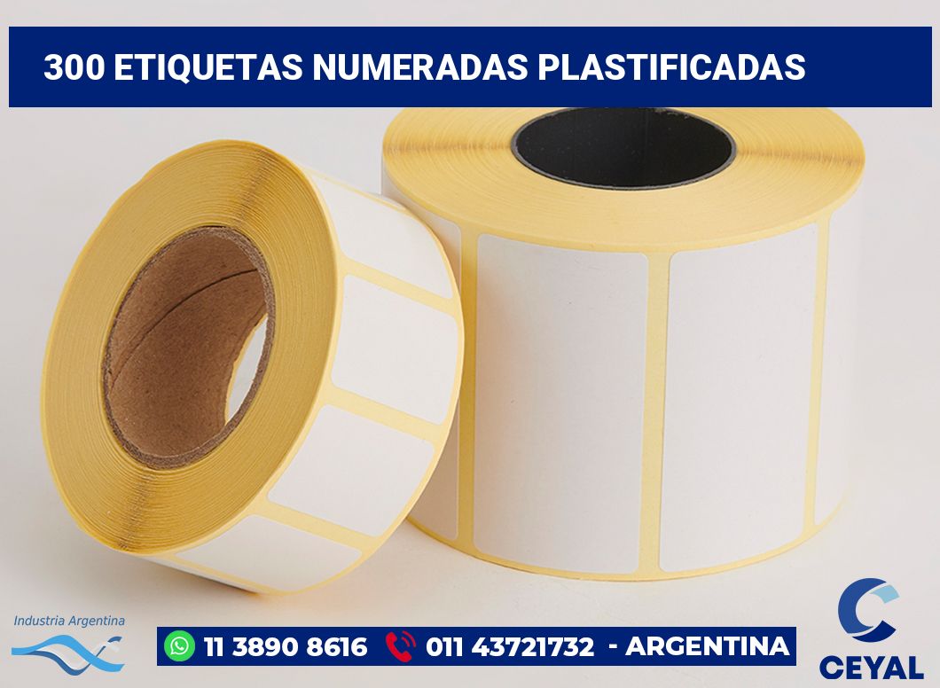 300 Etiquetas numeradas plastificadas