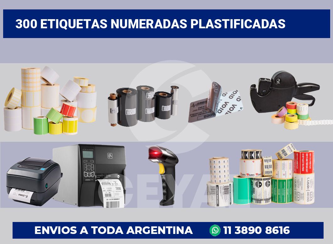 300 Etiquetas numeradas plastificadas