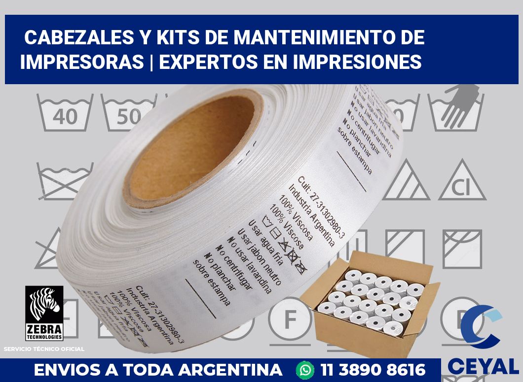 Cabezales y kits de mantenimiento de impresoras | Expertos en impresiones