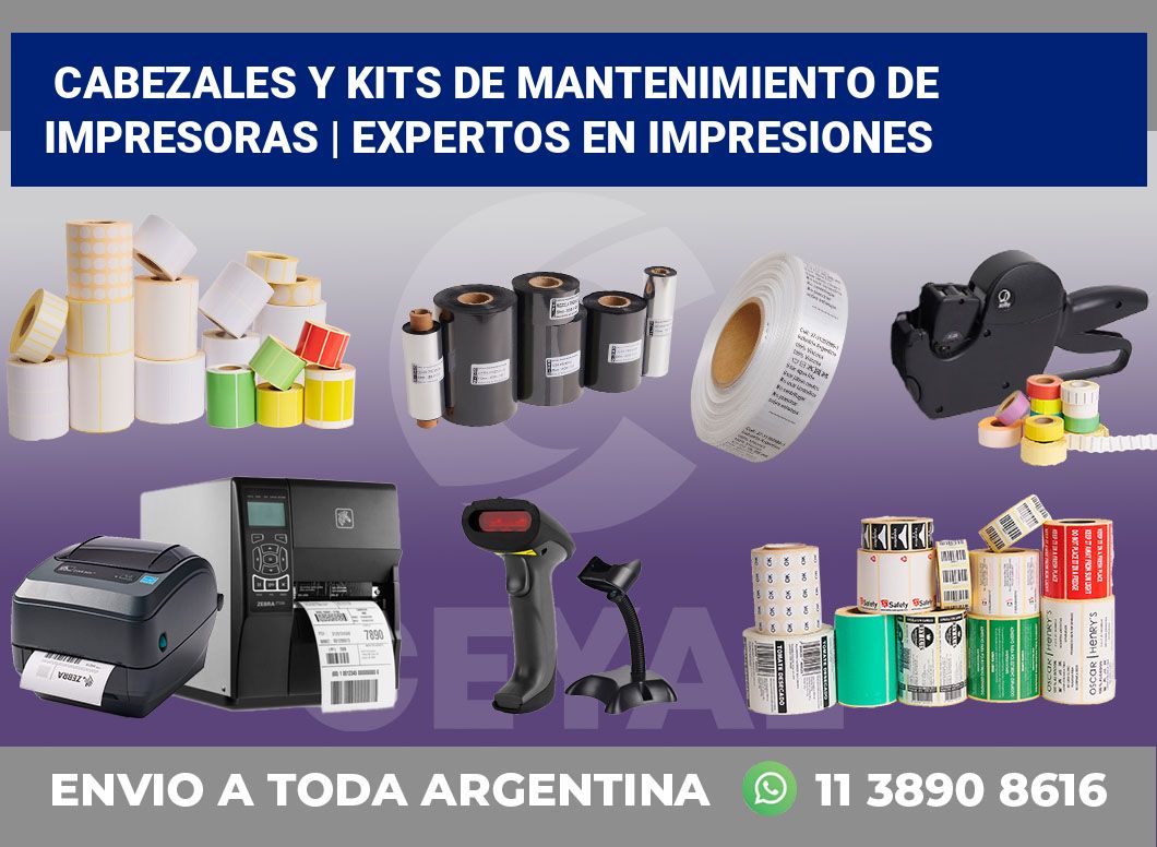 Cabezales y kits de mantenimiento de impresoras | Expertos en impresiones