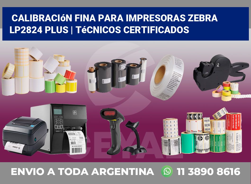 Calibración fina para impresoras Zebra LP2824 Plus | Técnicos certificados