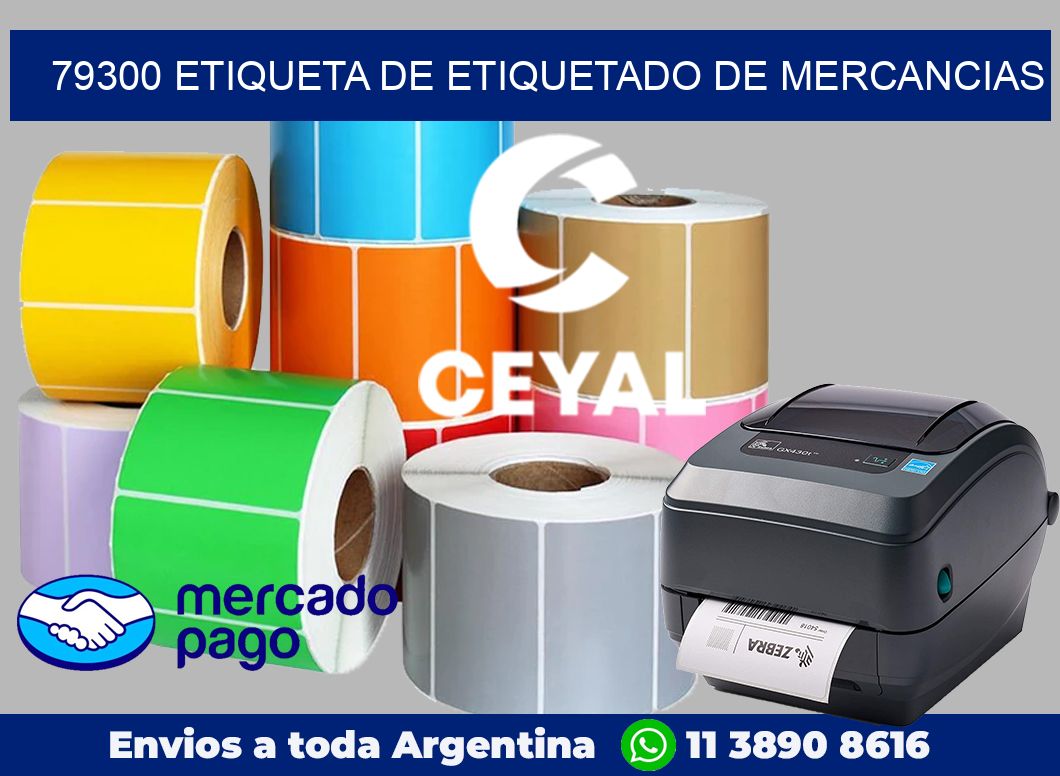 79300 Etiqueta de etiquetado de mercancias
