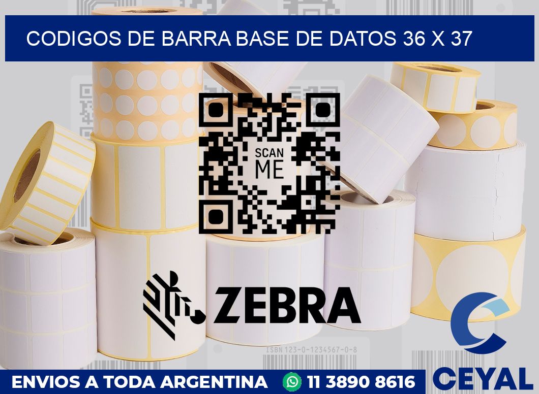 Codigos de barra base de datos 36 x 37