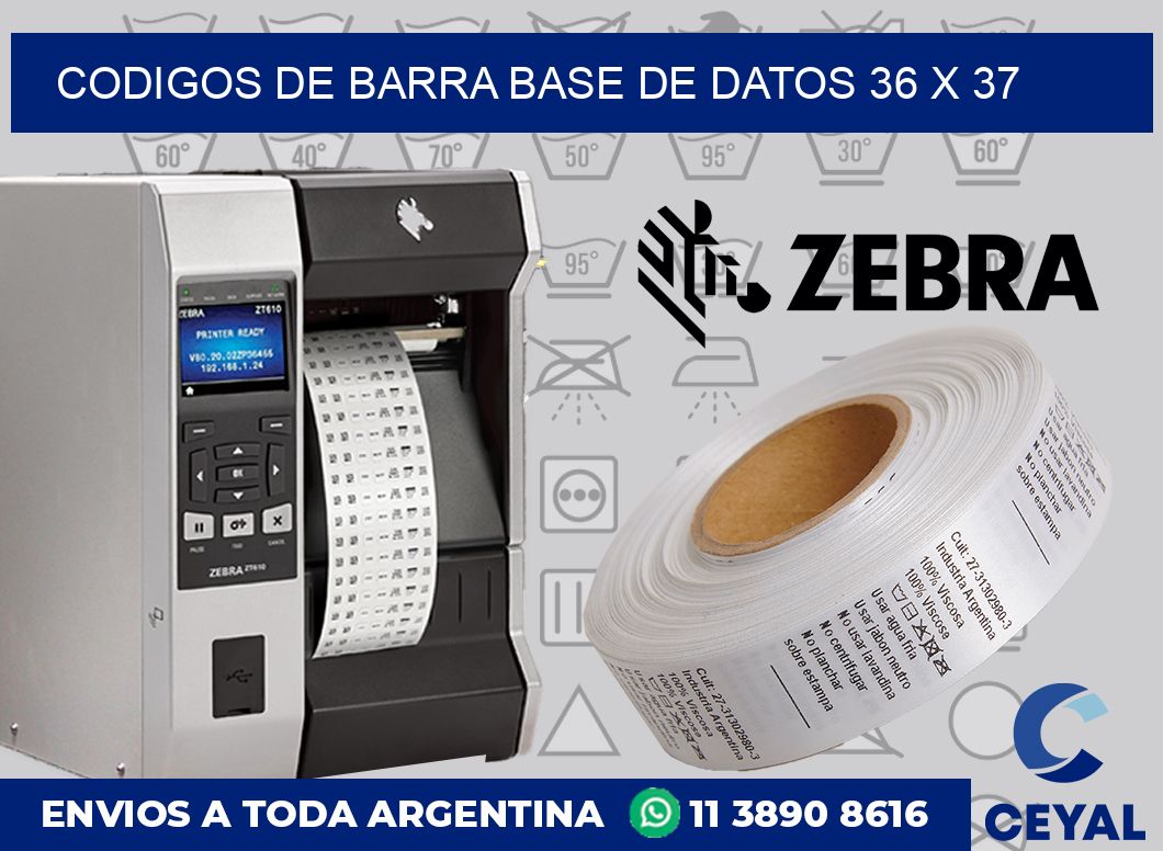 Codigos de barra base de datos 36 x 37