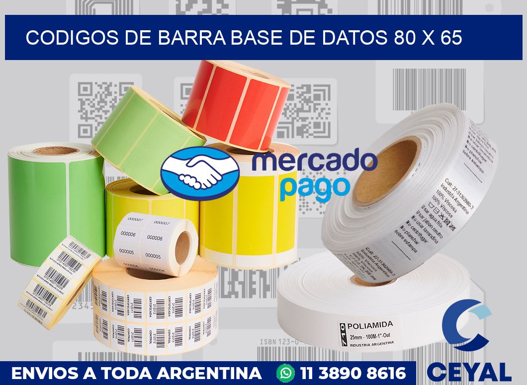 Codigos de barra base de datos 80 x 65