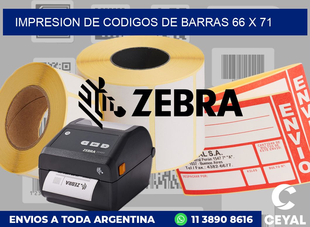 impresion de codigos de barras 66 x 71