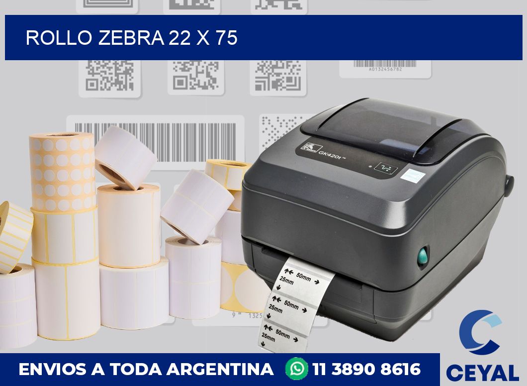 rollo zebra 22 x 75