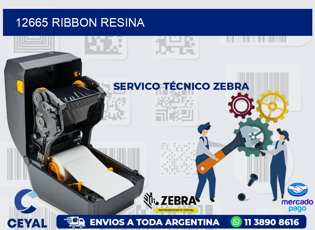 12665 RIBBON RESINA