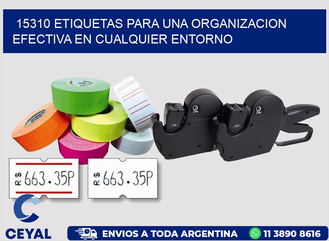 15310 ETIQUETAS PARA UNA ORGANIZACION EFECTIVA EN CUALQUIER ENTORNO