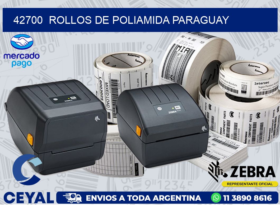 42700  ROLLOS DE POLIAMIDA PARAGUAY
