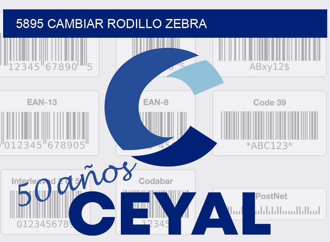 5895 CAMBIAR RODILLO ZEBRA
