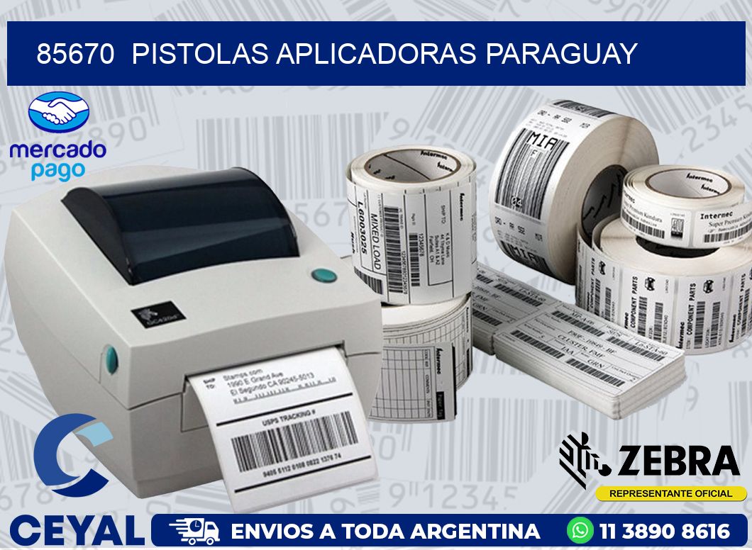 85670  PISTOLAS APLICADORAS PARAGUAY