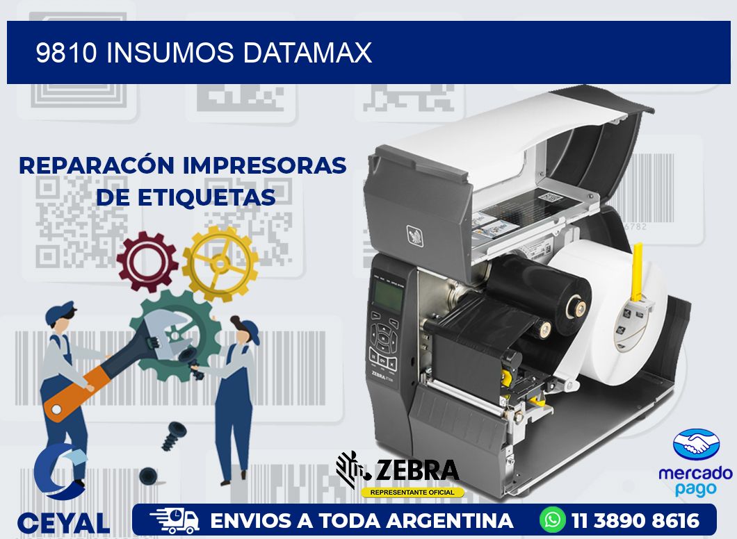 9810 INSUMOS DATAMAX