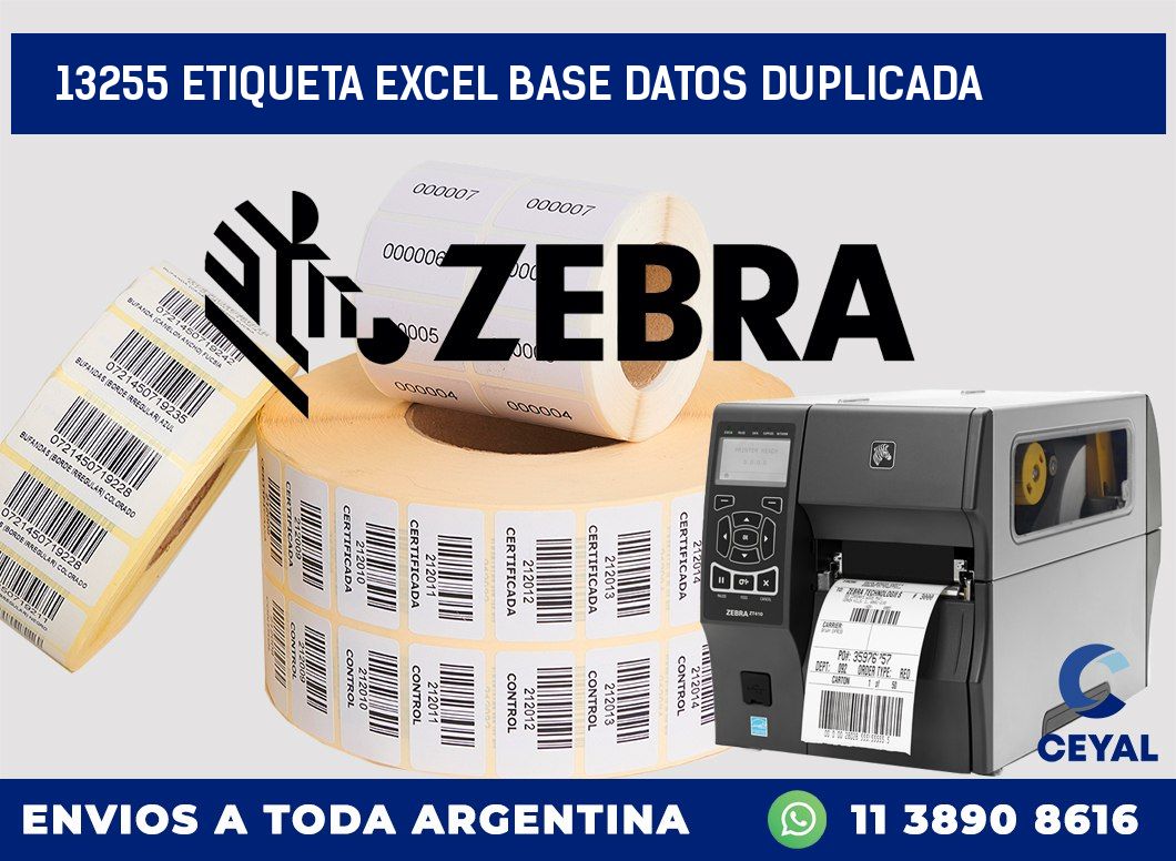 13255 etiqueta excel base datos duplicada