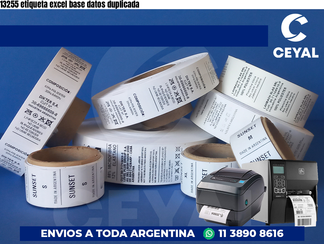 13255 etiqueta excel base datos duplicada