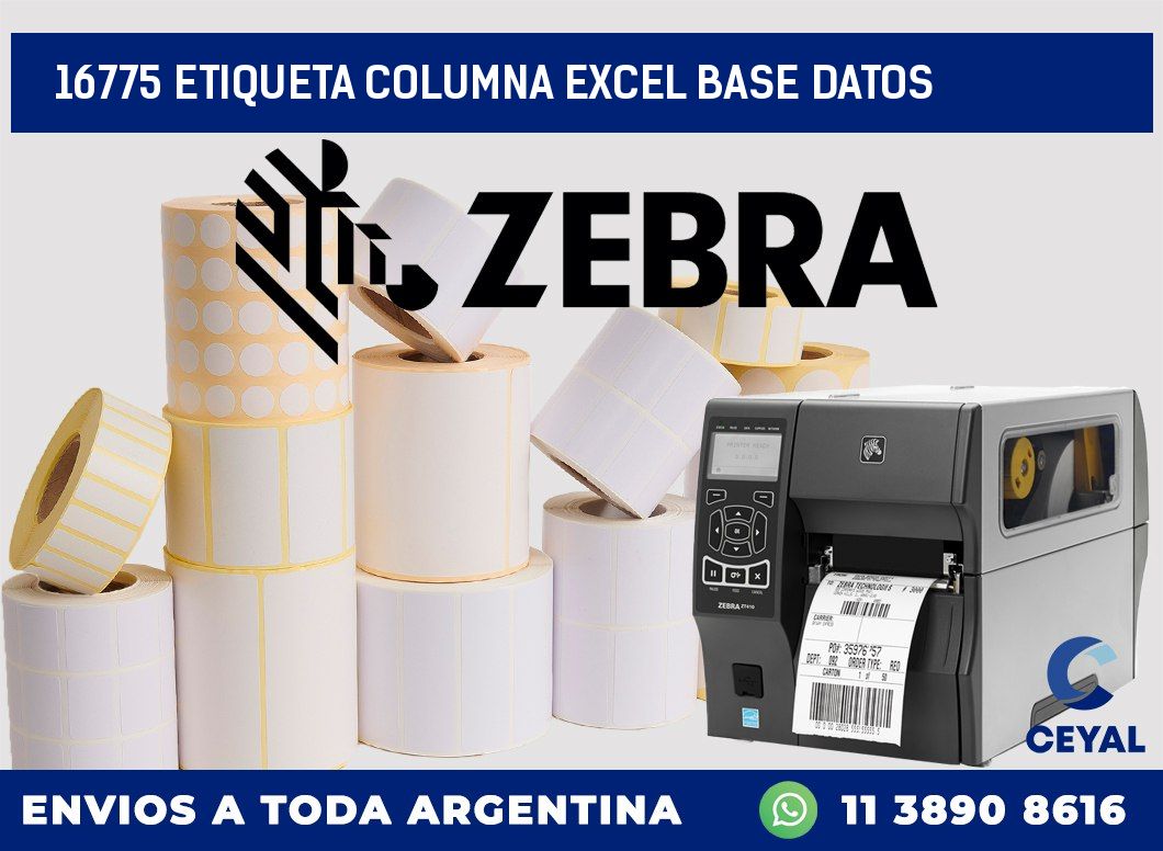 16775 etiqueta columna excel base datos