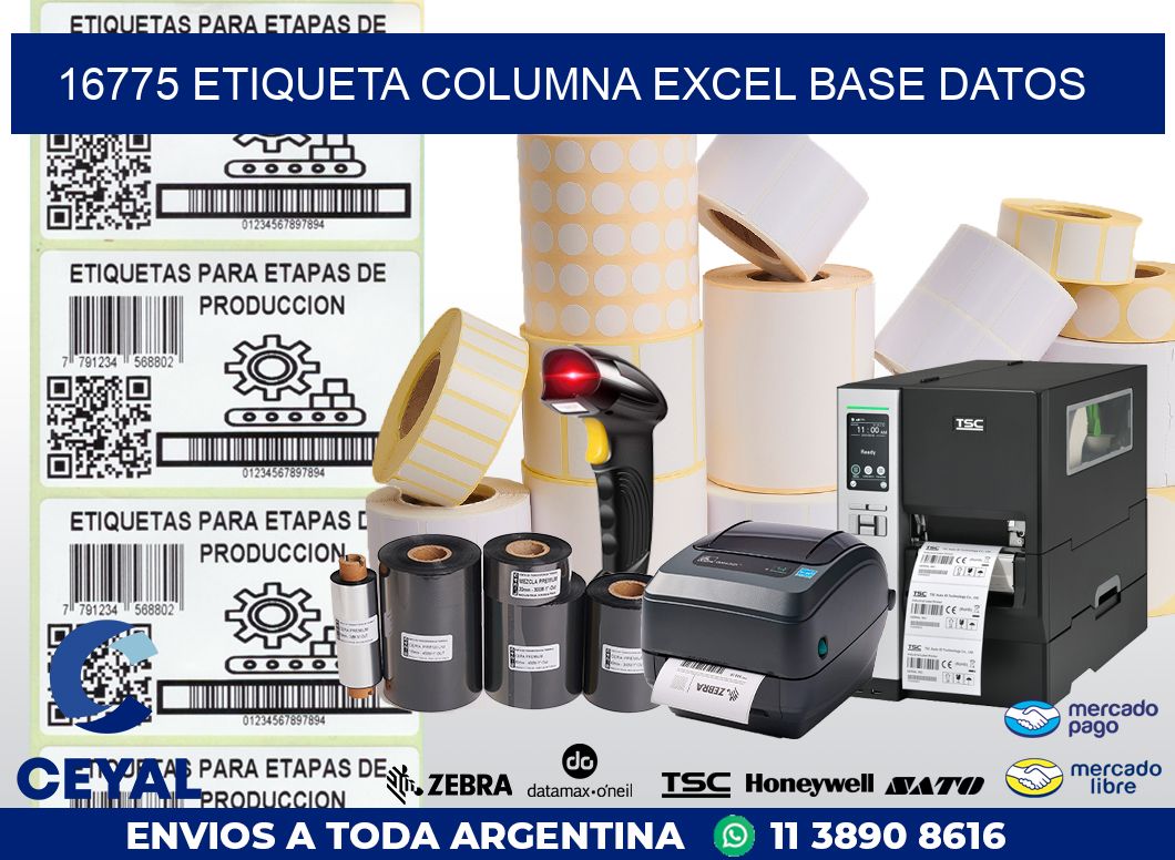 16775 etiqueta columna excel base datos