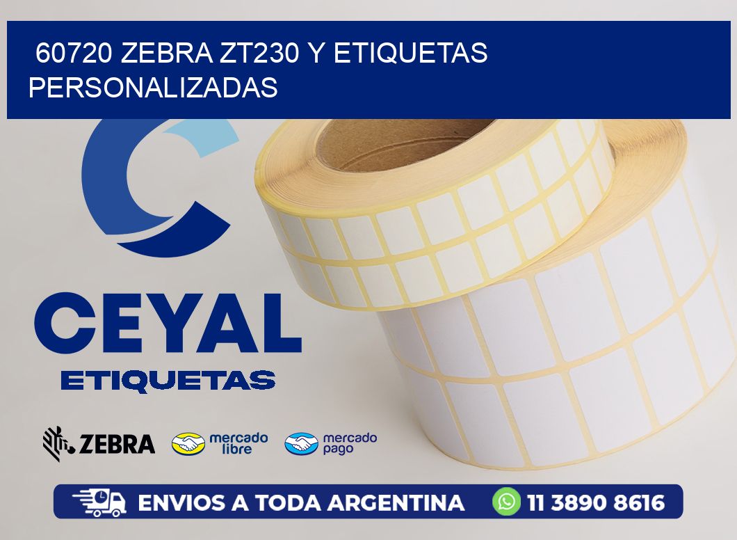 60720 Zebra ZT230 y Etiquetas Personalizadas