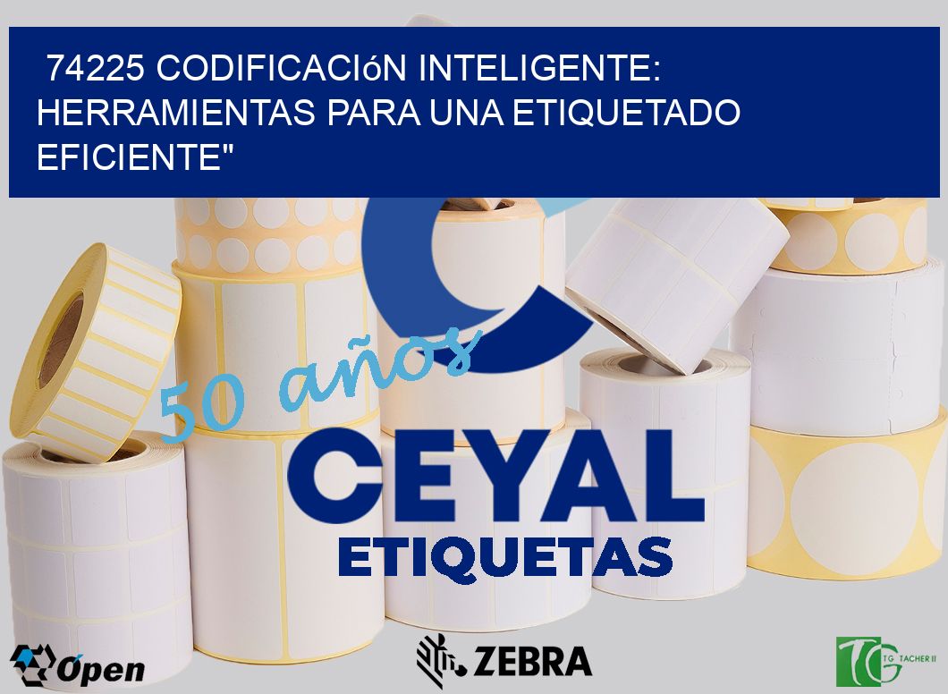 74225 Codificación Inteligente: Herramientas para una Etiquetado Eficiente»