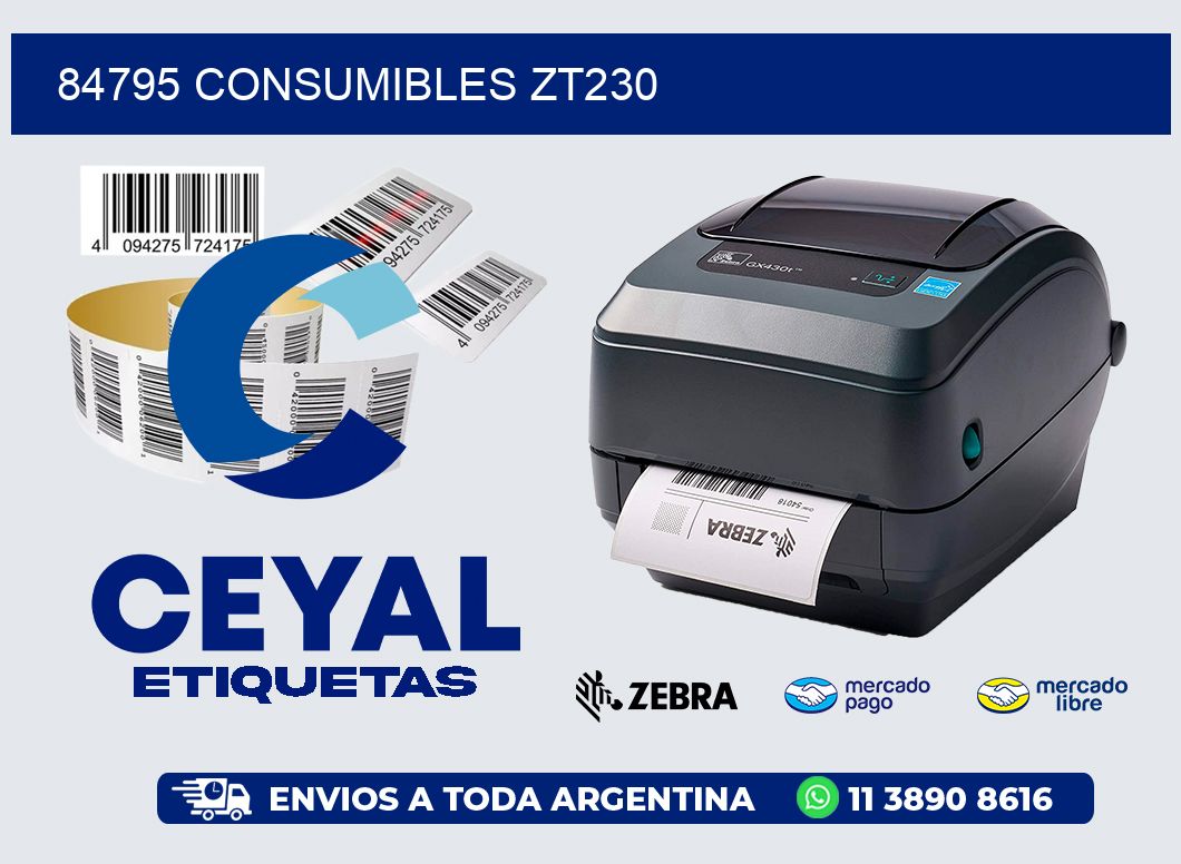 84795 CONSUMIBLES ZT230