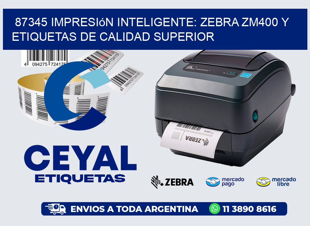 87345 Impresión Inteligente: Zebra ZM400 y Etiquetas de Calidad Superior