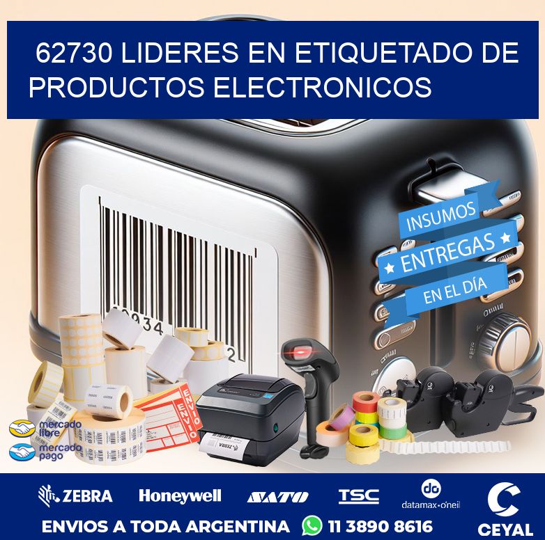 62730 LIDERES EN ETIQUETADO DE PRODUCTOS ELECTRONICOS