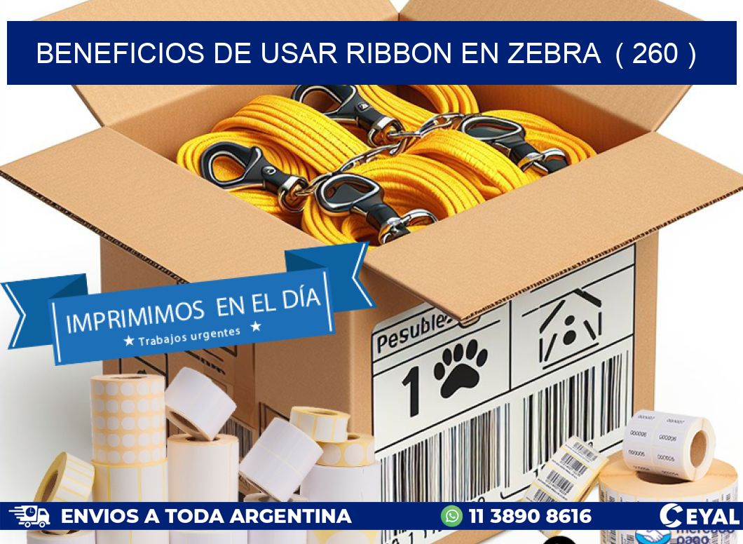BENEFICIOS DE USAR RIBBON EN ZEBRA  ( 260 )