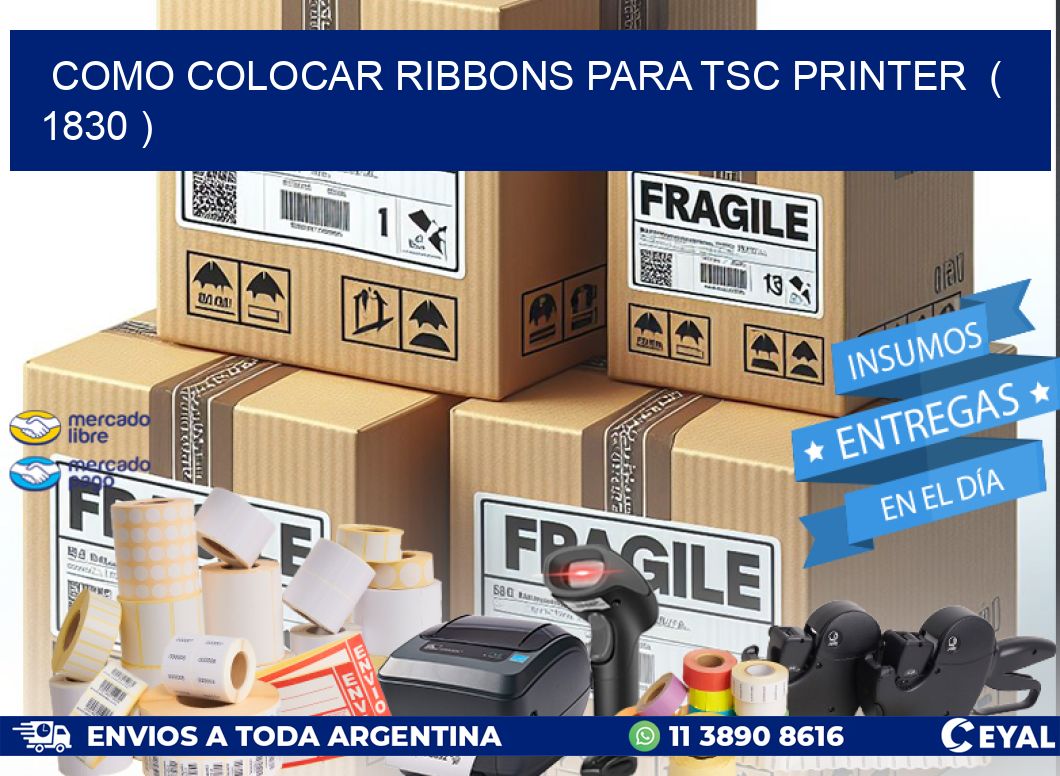 COMO COLOCAR RIBBONS PARA TSC PRINTER  ( 1830 )