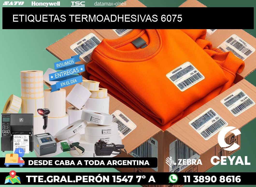 ETIQUETAS TERMOADHESIVAS 6075