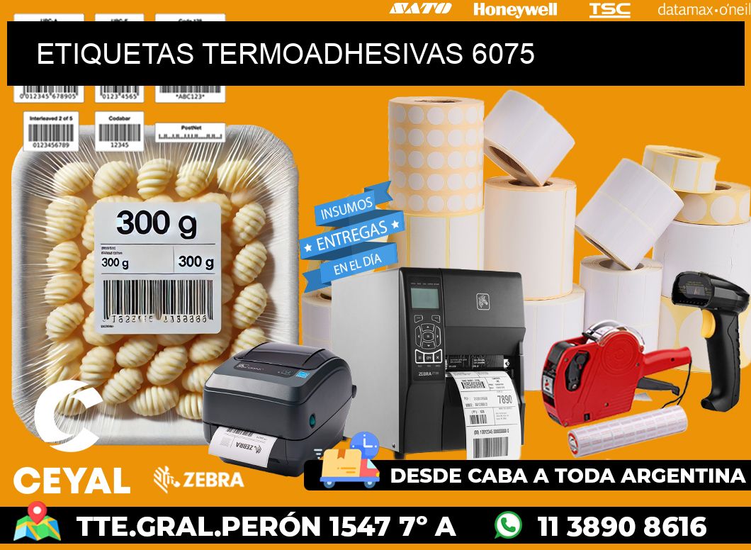 ETIQUETAS TERMOADHESIVAS 6075