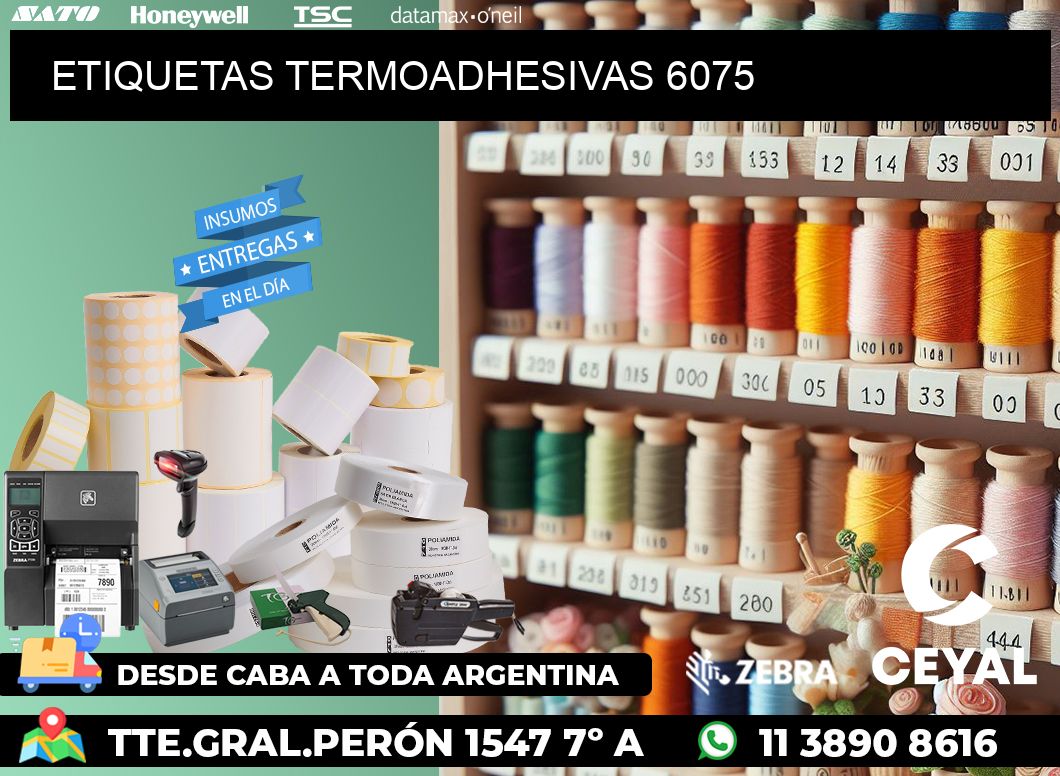 ETIQUETAS TERMOADHESIVAS 6075