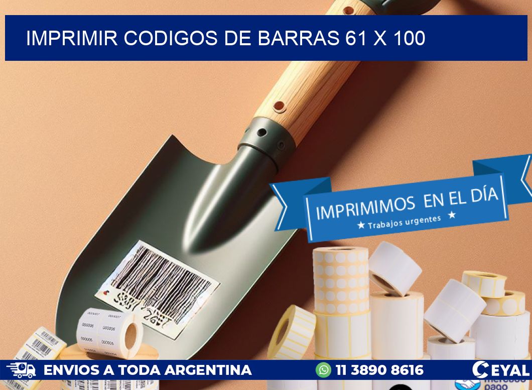 IMPRIMIR CODIGOS DE BARRAS 61 x 100