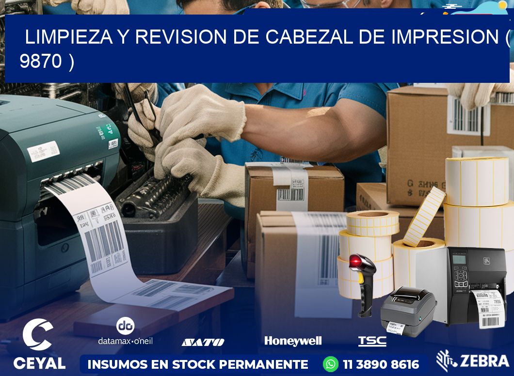 LIMPIEZA Y REVISION DE CABEZAL DE IMPRESION ( 9870 )