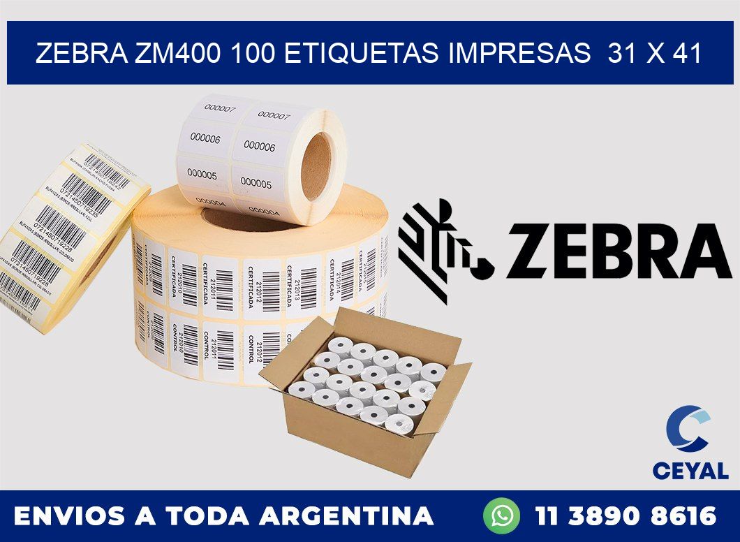 ZEBRA ZM400 100 ETIQUETAS IMPRESAS  31 x 41