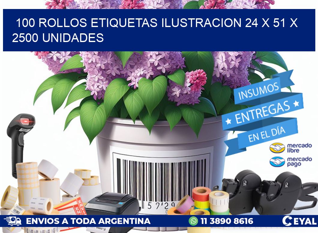100 ROLLOS ETIQUETAS ILUSTRACION 24 x 51 X 2500 UNIDADES