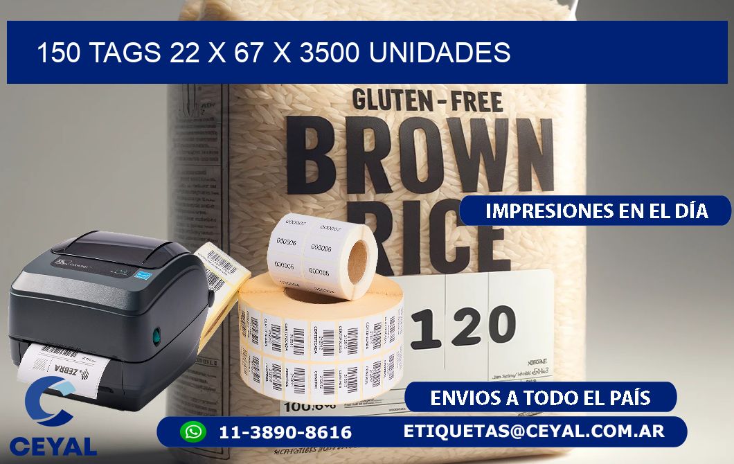 150 TAGS 22 x 67 X 3500 UNIDADES