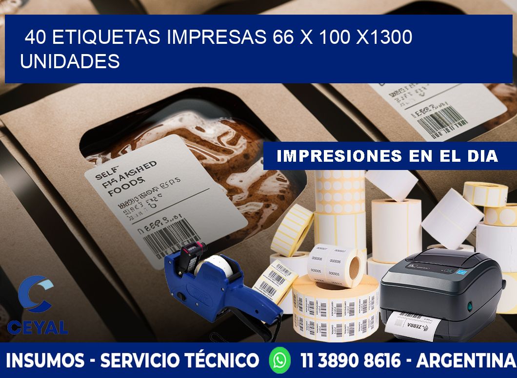 40 ETIQUETAS IMPRESAS 66 x 100 X1300 UNIDADES