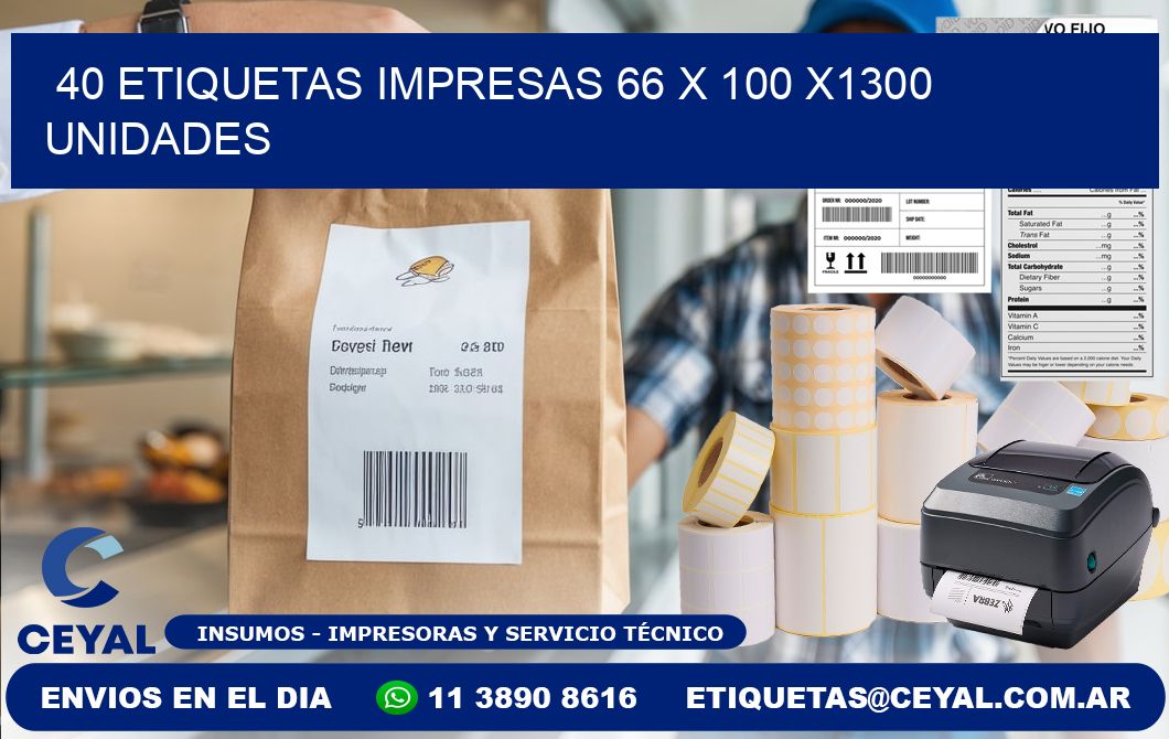 40 ETIQUETAS IMPRESAS 66 x 100 X1300 UNIDADES