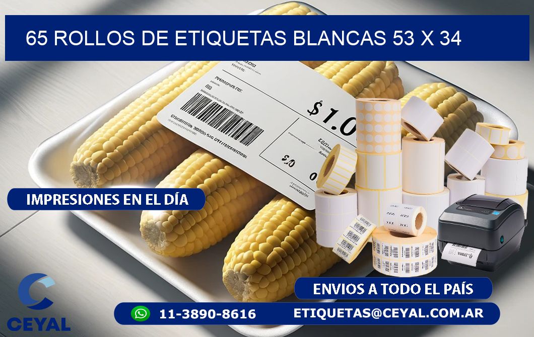 65 ROLLOS DE ETIQUETAS BLANCAS 53 x 34