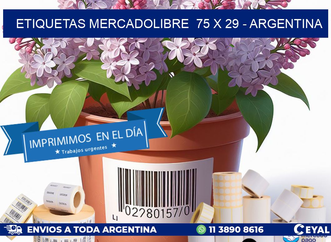 ETIQUETAS MERCADOLIBRE  75 x 29 - ARGENTINA