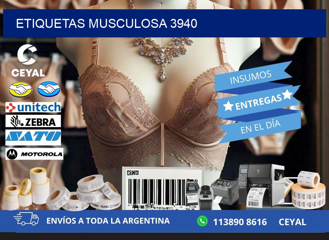 ETIQUETAS MUSCULOSA 3940