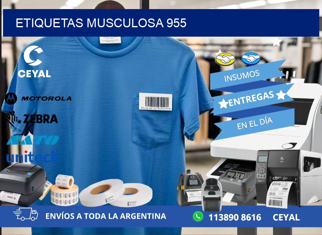 ETIQUETAS MUSCULOSA 955