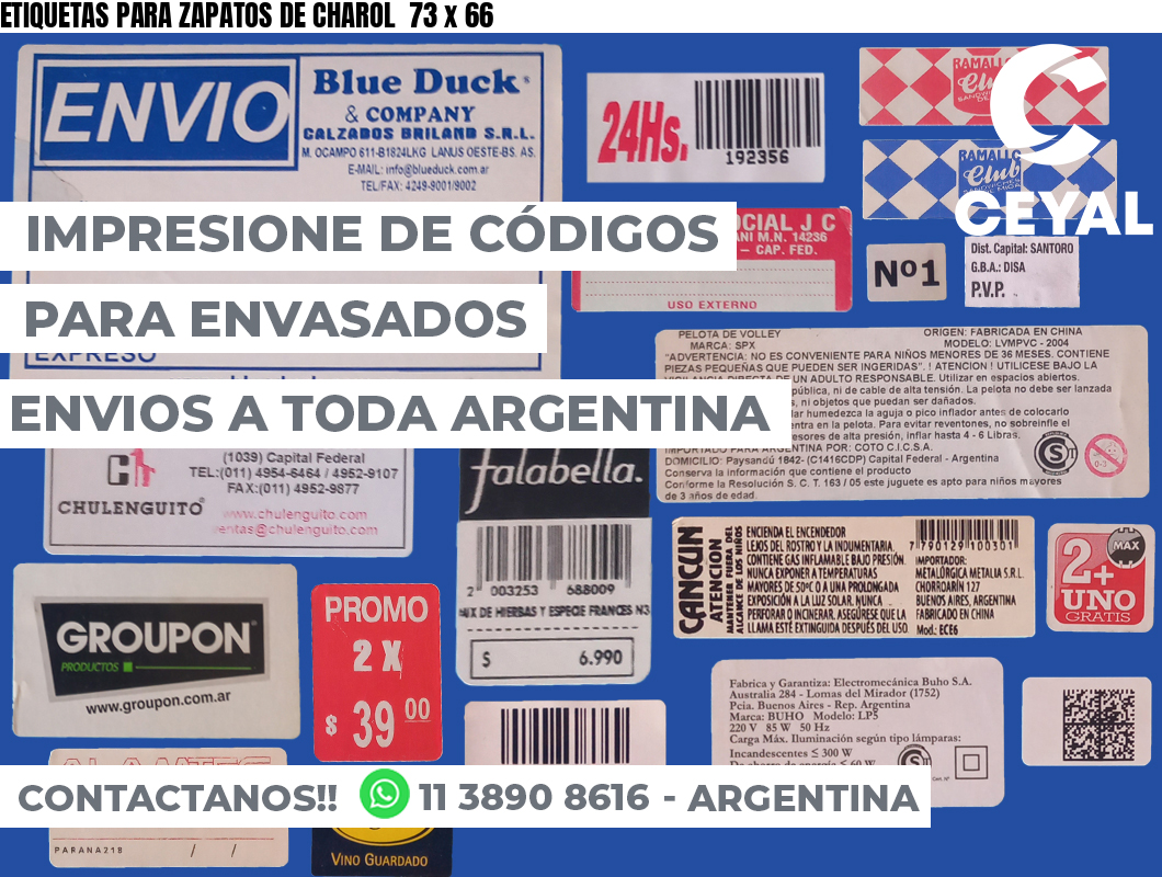 ETIQUETAS PARA ZAPATOS DE CHAROL  73 x 66