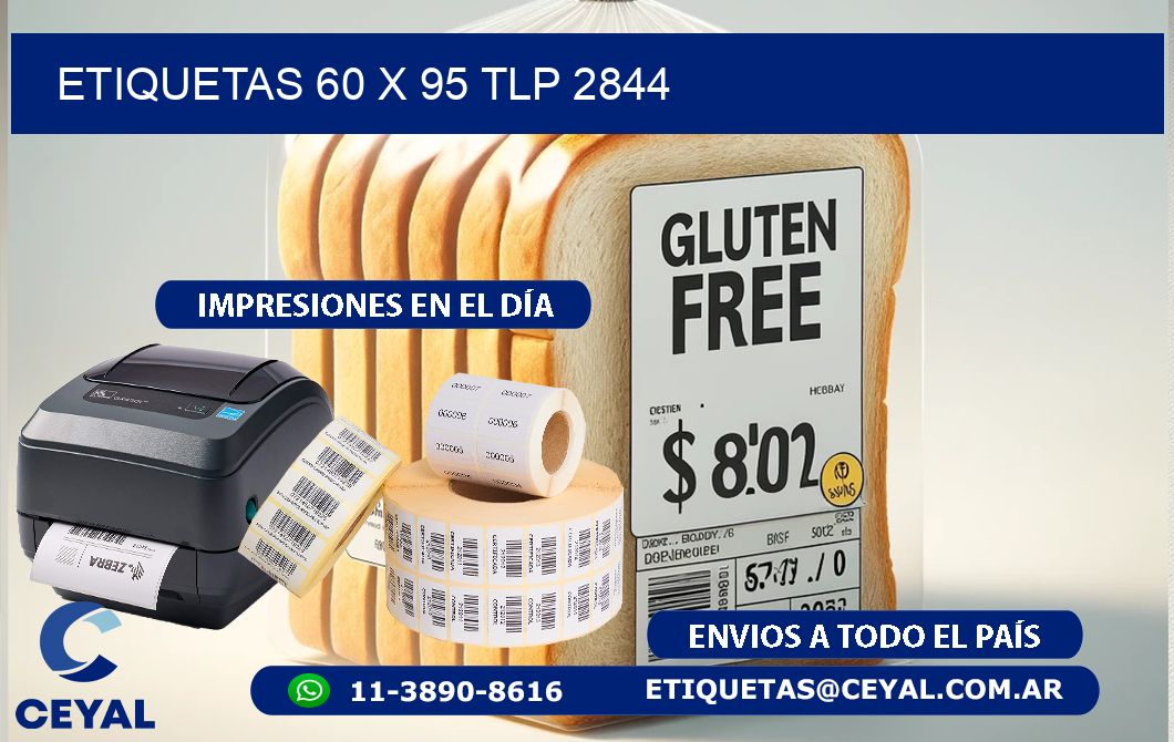 ETIQUETAS 60 x 95 TLP 2844