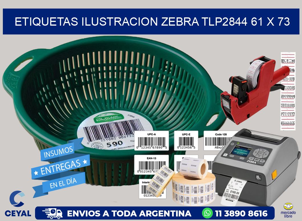 ETIQUETAS ILUSTRACION ZEBRA TLP2844 61 x 73