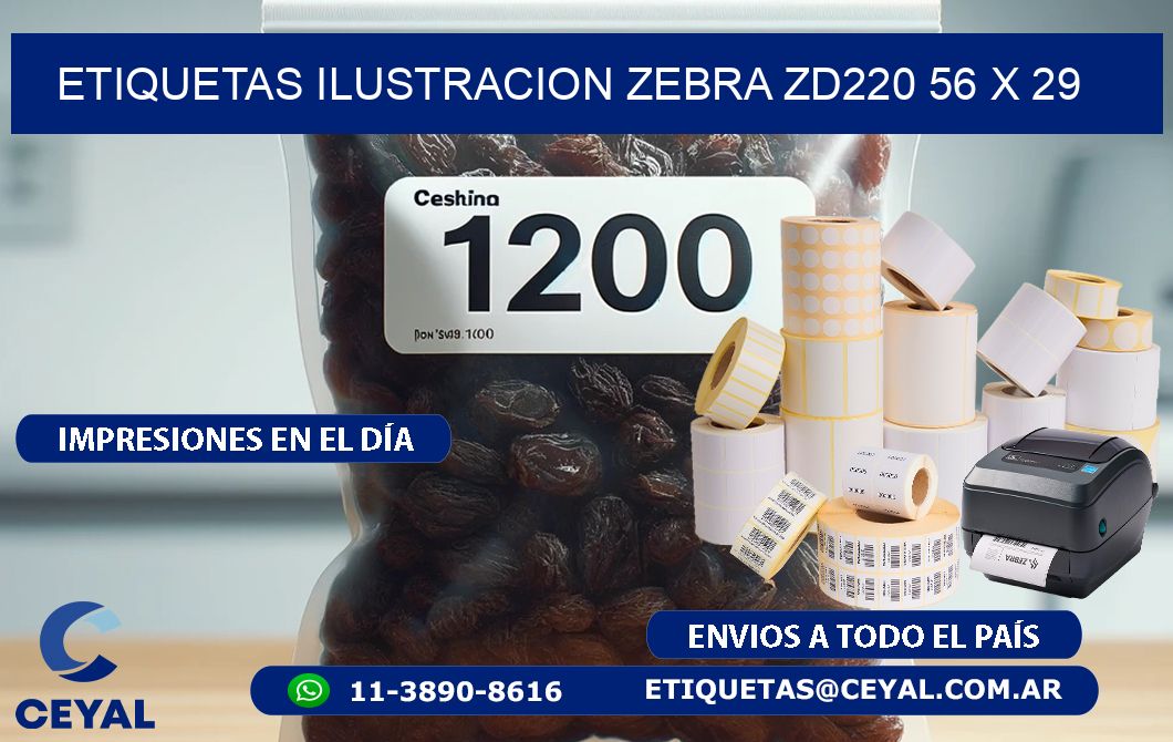 ETIQUETAS ILUSTRACION ZEBRA ZD220 56 x 29