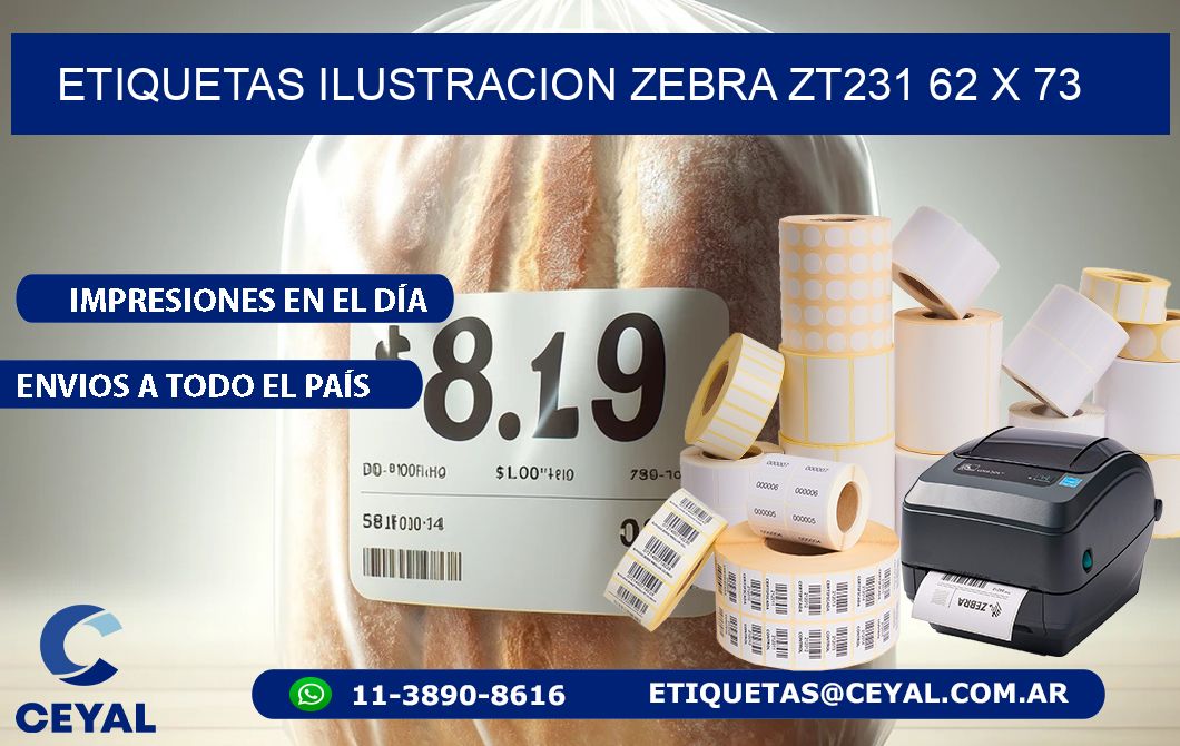 ETIQUETAS ILUSTRACION ZEBRA ZT231 62 x 73